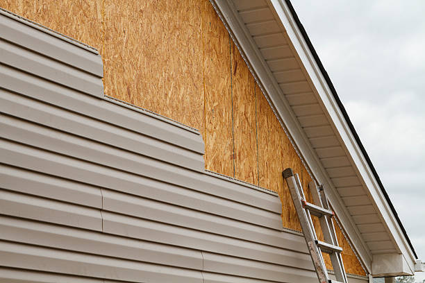 Professional Siding Inspection technician working in Port Orchard, WA
